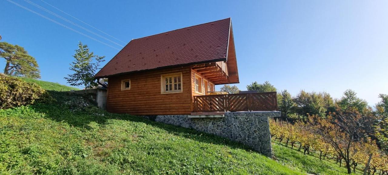 Wine Panorama House Villa Ястребарско Екстериор снимка