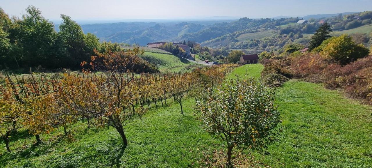 Wine Panorama House Villa Ястребарско Екстериор снимка