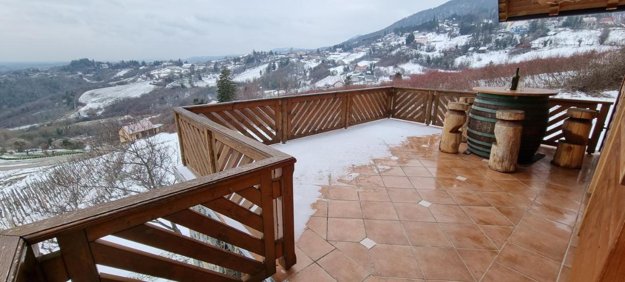Wine Panorama House Villa Ястребарско Екстериор снимка