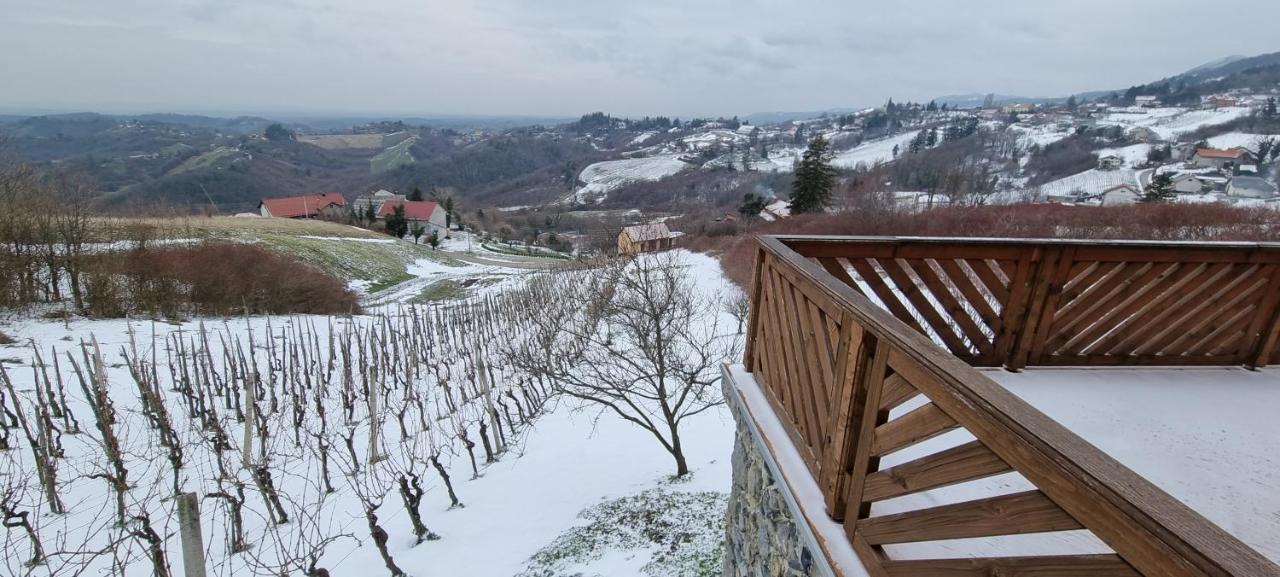 Wine Panorama House Villa Ястребарско Екстериор снимка