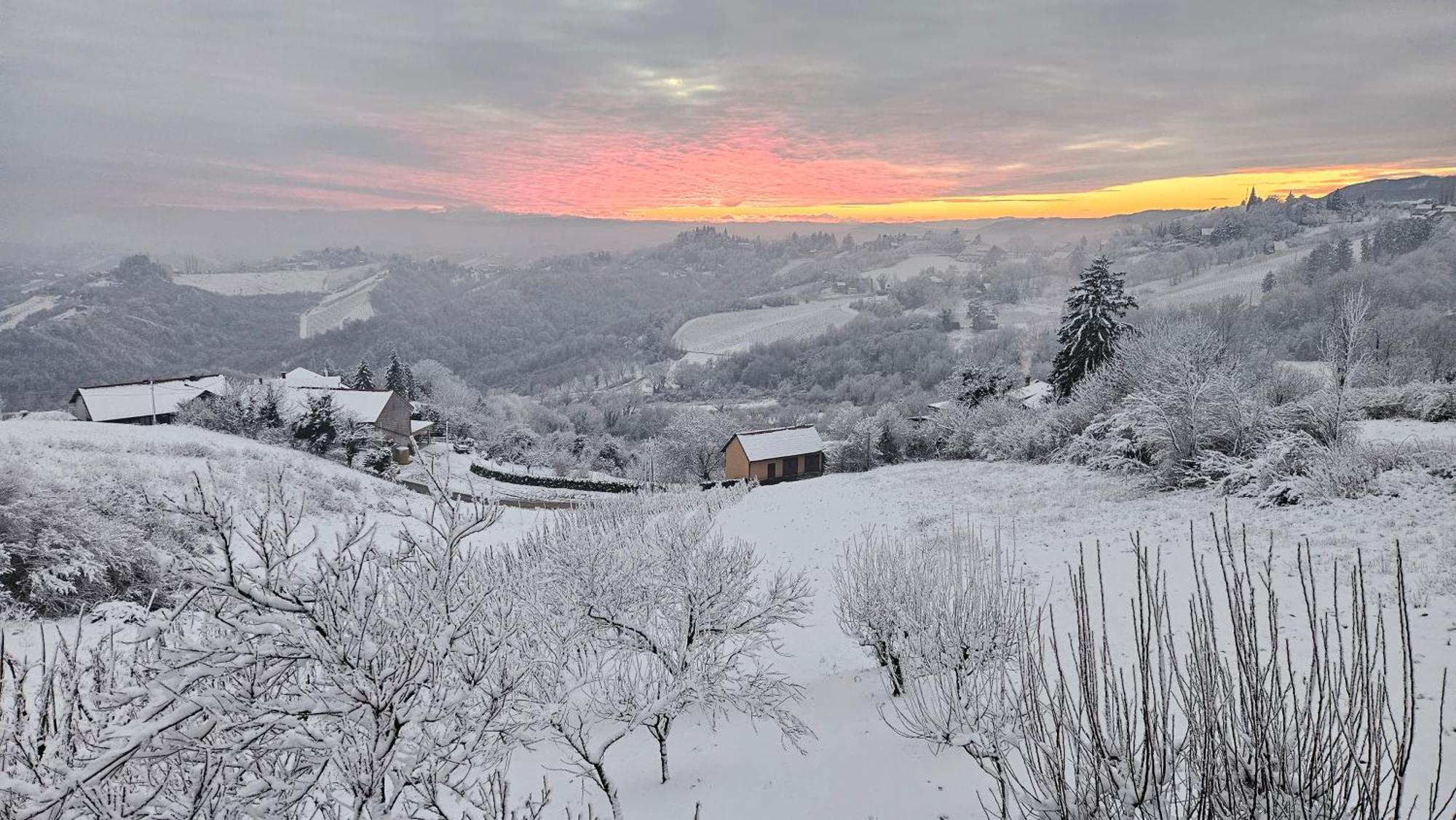 Wine Panorama House Villa Ястребарско Екстериор снимка